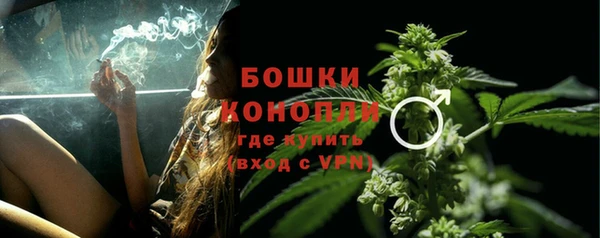 мдпв Надым