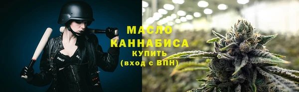 мдпв Надым