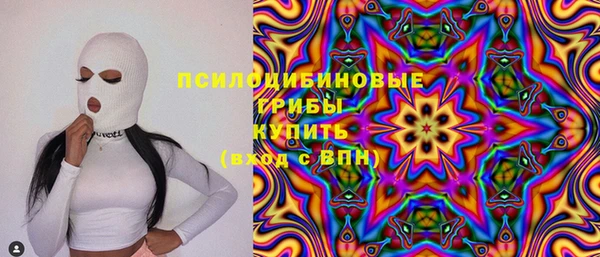 mdpv Болотное