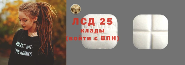 индика Нефтекумск