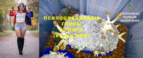 соль ск Нея