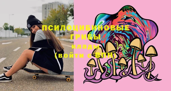 мдпв Надым