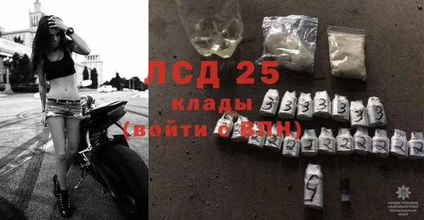 ПСИЛОЦИБИНОВЫЕ ГРИБЫ Наволоки