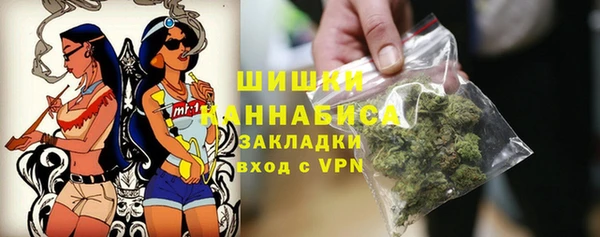 индика Нефтекумск