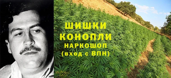 соль ск Нея