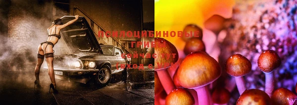 ПСИЛОЦИБИНОВЫЕ ГРИБЫ Наволоки
