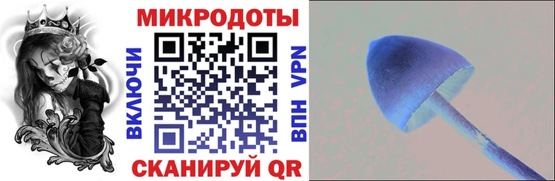Галлюциногенные грибы Psilocybine cubensis  магазин    Короча 